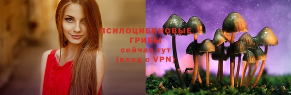 первитин Богородск