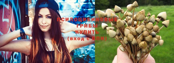 каннабис Богородицк