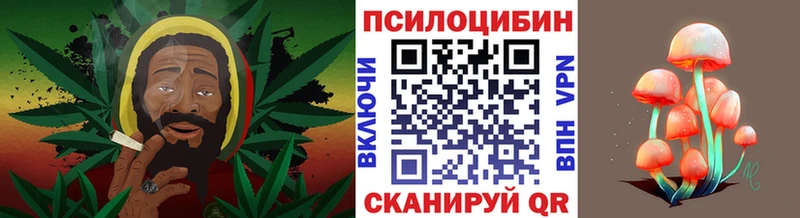 Псилоцибиновые грибы MAGIC MUSHROOMS  MEGA рабочий сайт  Торжок 